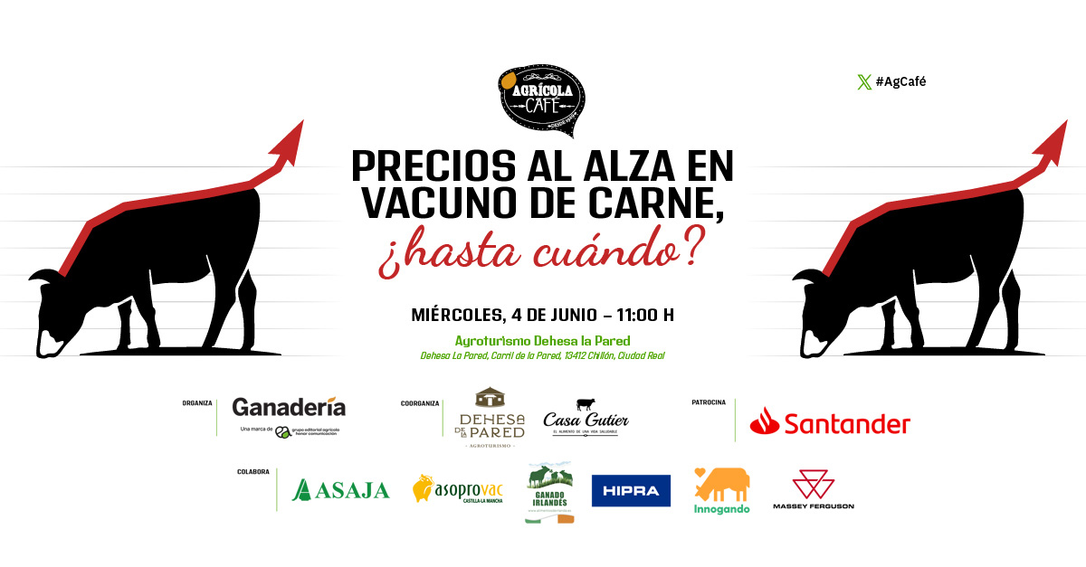 imagen principal noticia
